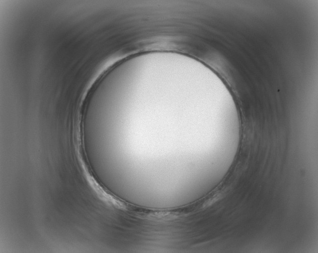 X0000081581000200701151238