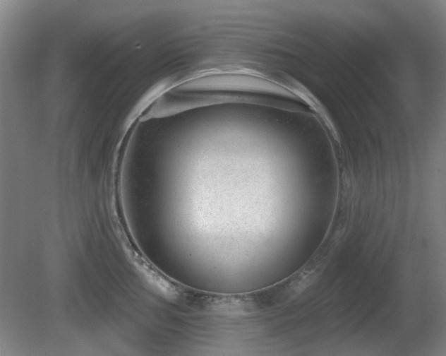 X0000081581002200701151238