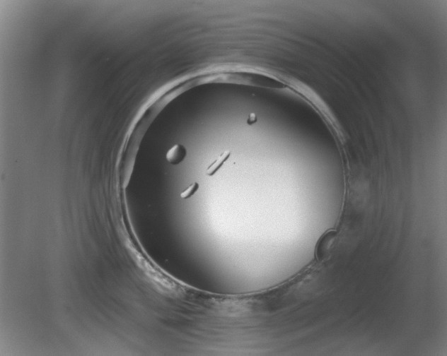 X0000081581004200701151238