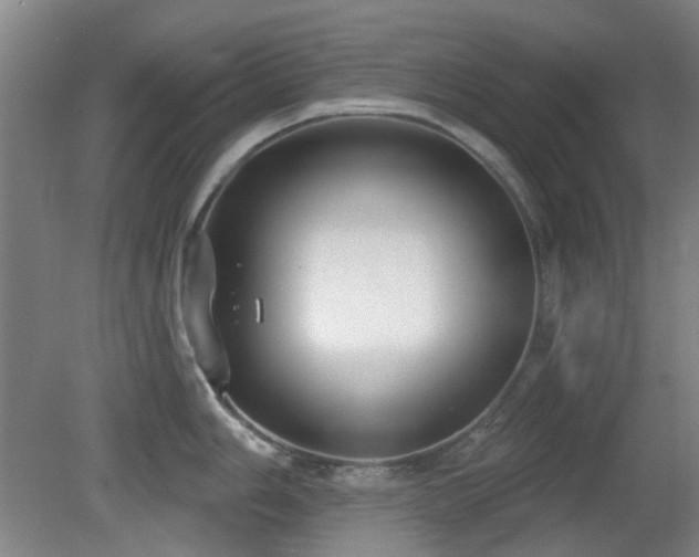 X0000081581006200701151238