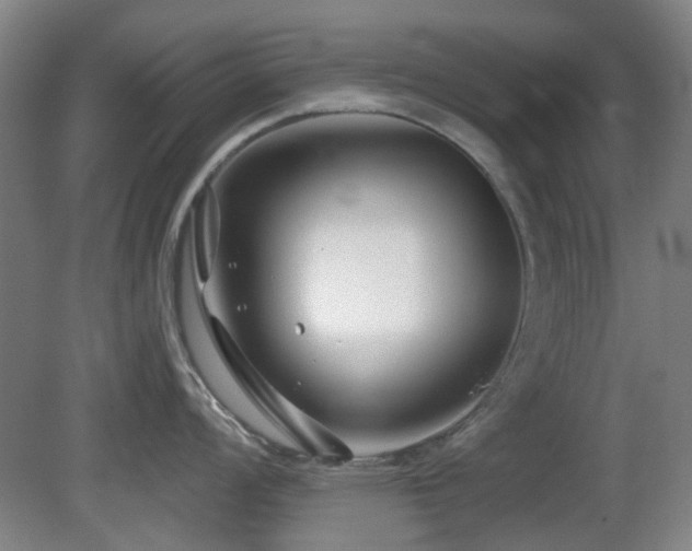 X0000081581008200701151238