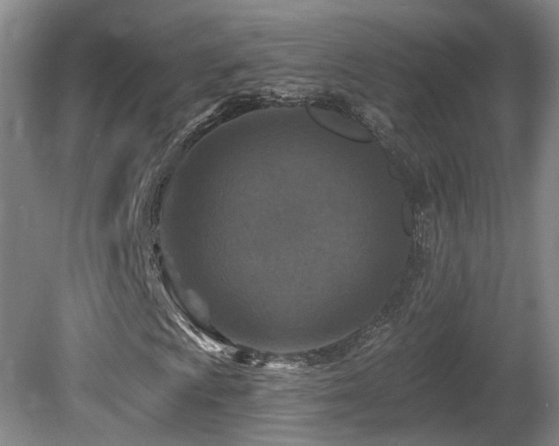 X0000081581009200701151237