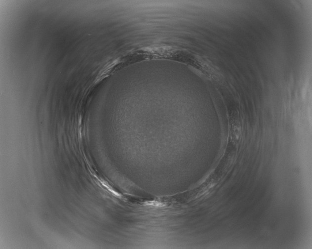 X0000081581010200701151237