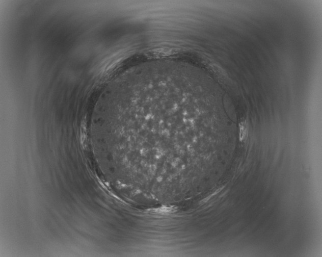 X0000081581011200701151237