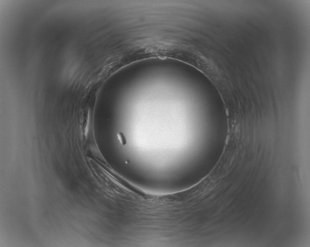 X0000081581012200701151237