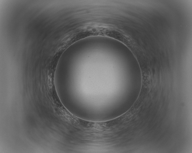 X0000081581013200701151237