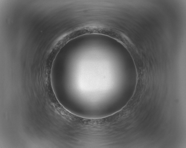 X0000081581016200701151237