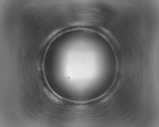 X0000081581017200701151237