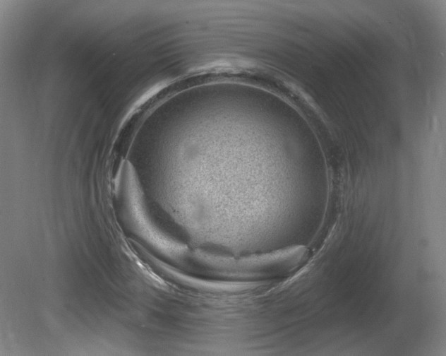 X0000081581018200701151237