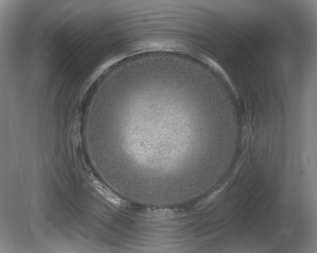 X0000081581019200701151237