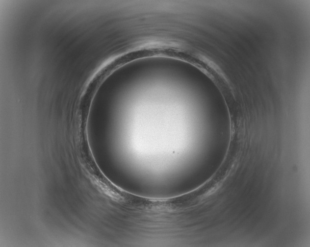 X0000081581021200701151237