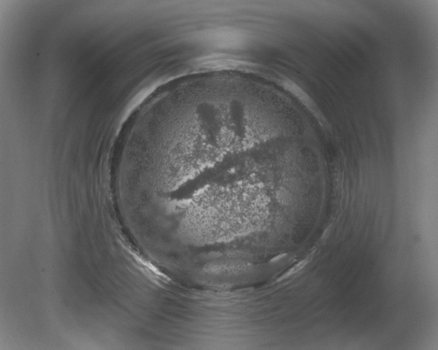 X0000081581023200701151237