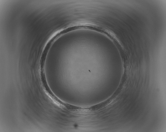 X0000081581024200701151237