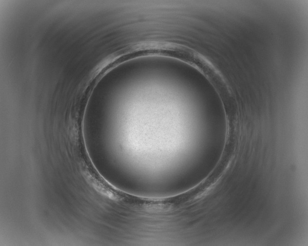 X0000081581025200701151237