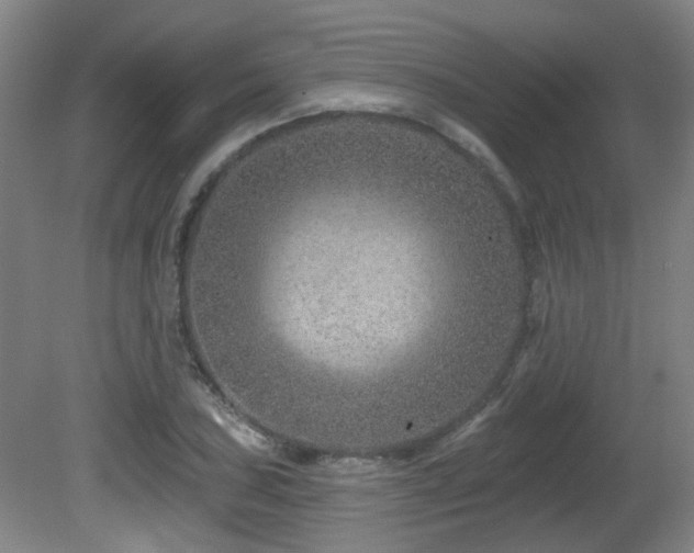 X0000081581027200701151237