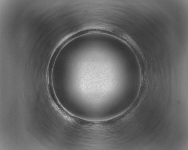 X0000081581028200701151237