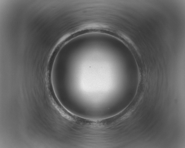 X0000081581029200701151237