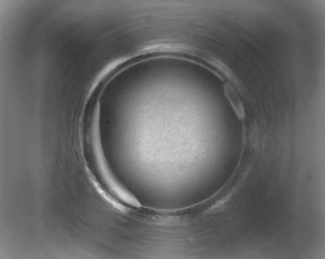 X0000081581030200701151237