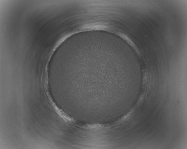 X0000081581031200701151237