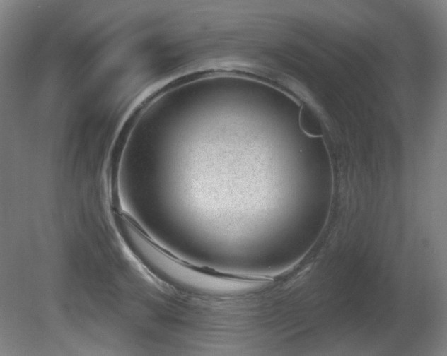 X0000081581032200701151237