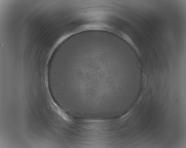 X0000081581035200701151237