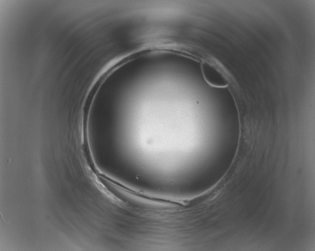 X0000081581036200701151238