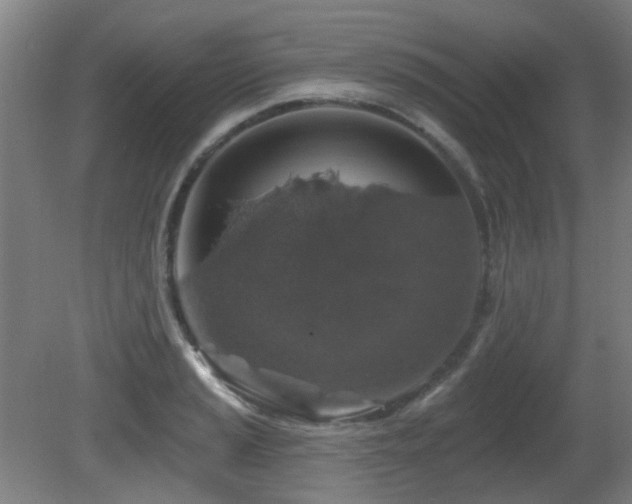 X0000081581037200701151238