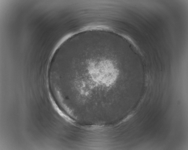 X0000081581038200701151238