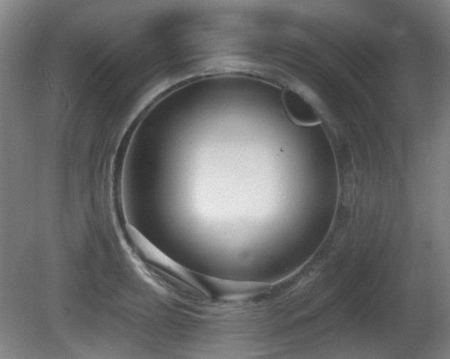 X0000081581039200701151238