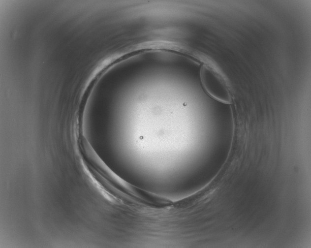 X0000081581040200701151238