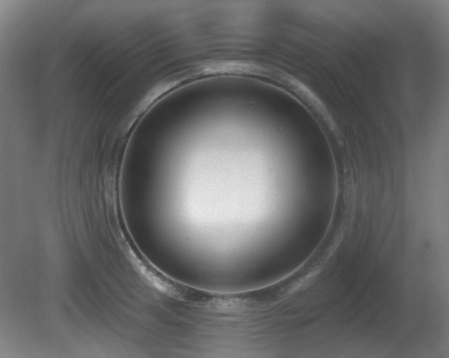 X0000081581041200701151238