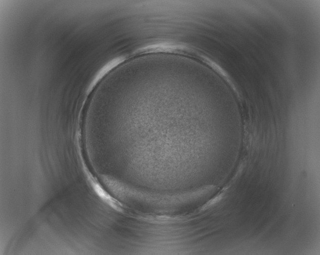 X0000081581042200701151238