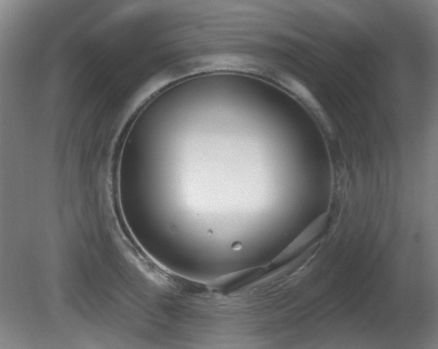 X0000081581043200701151238