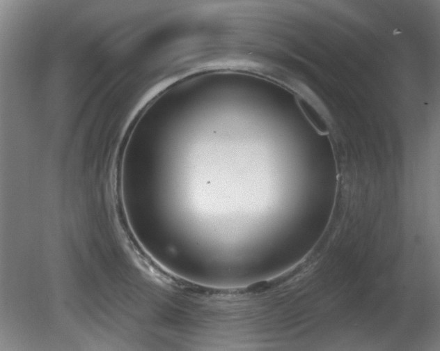 X0000081581044200701151238