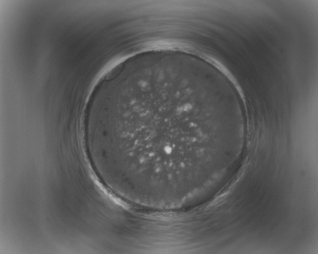 X0000081581045200701151238