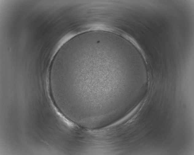 X0000081581048200701151238