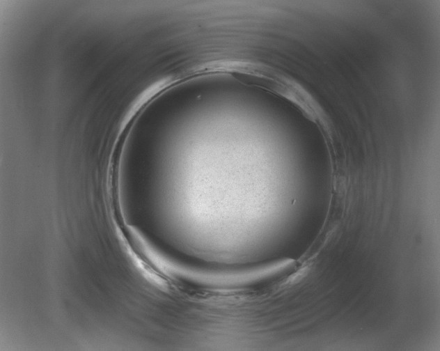 X0000081581050200701151238