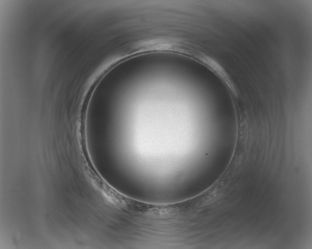 X0000081581051200701151238