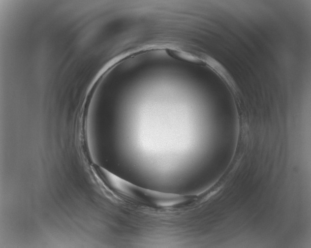 X0000081581052200701151238