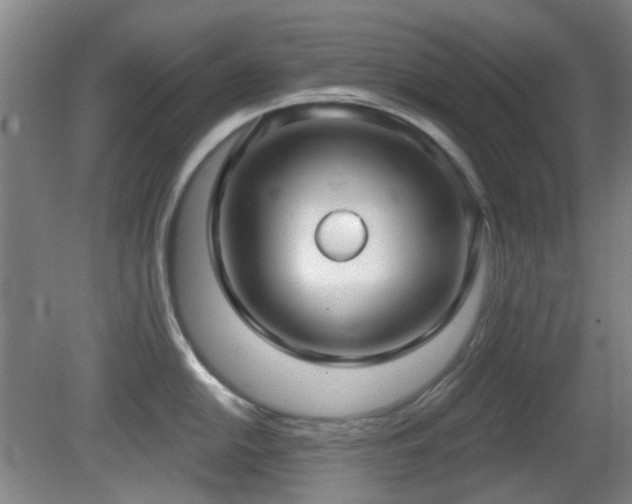 X0000081581054200701151238