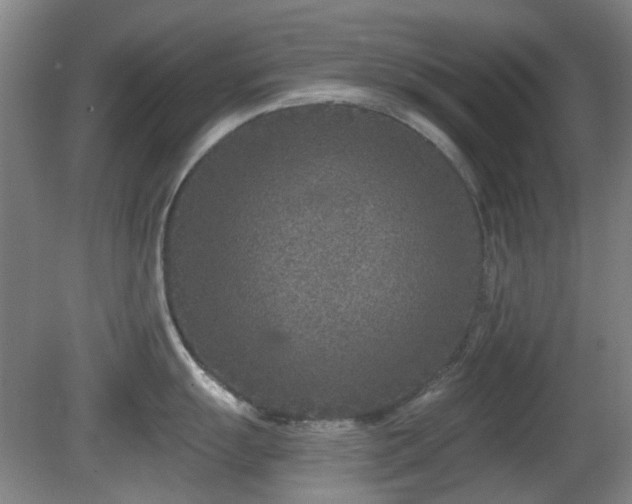 X0000081581055200701151238