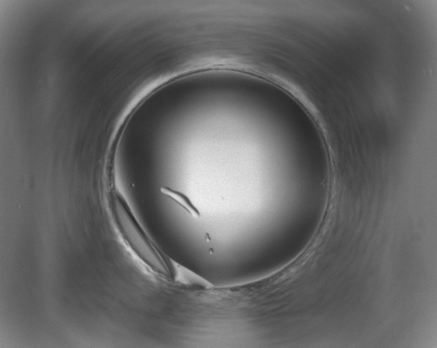 X0000081581056200701151238