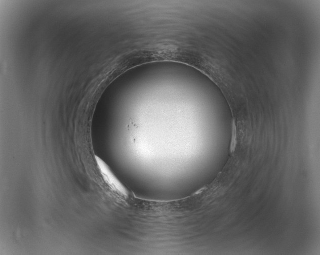 X0000081581057200701151237