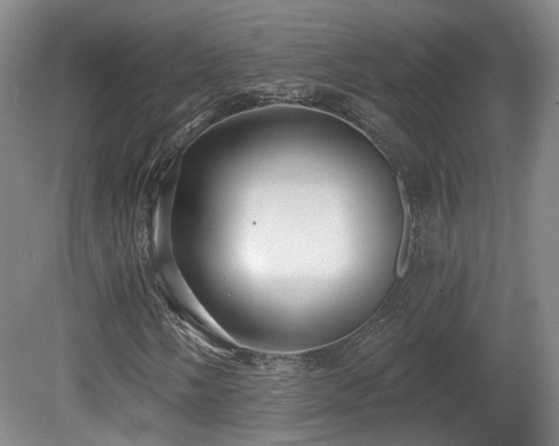 X0000081581058200701151237