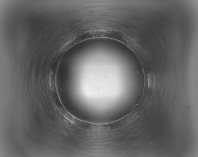 X0000081581059200701151237