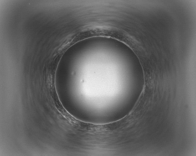 X0000081581061200701151237