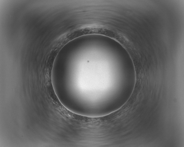 X0000081581062200701151237