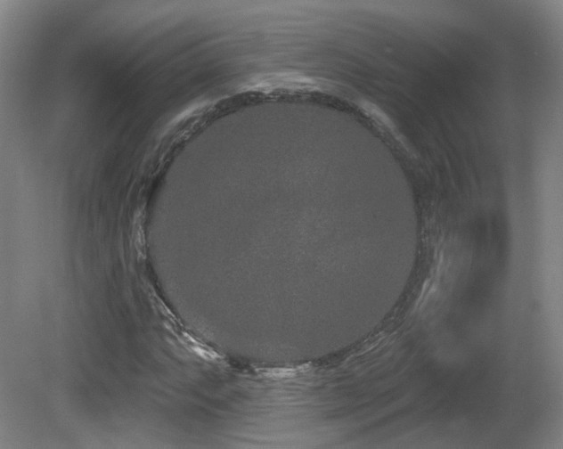 X0000081581063200701151237