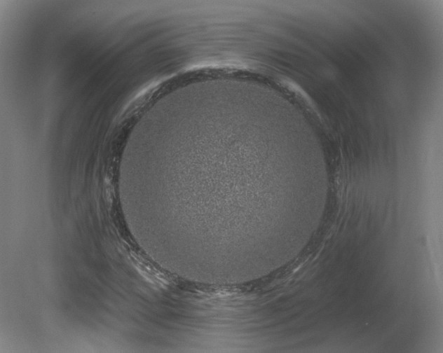 X0000081581064200701151237