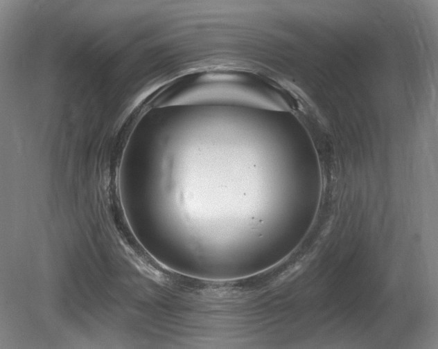 X0000081581065200701151237